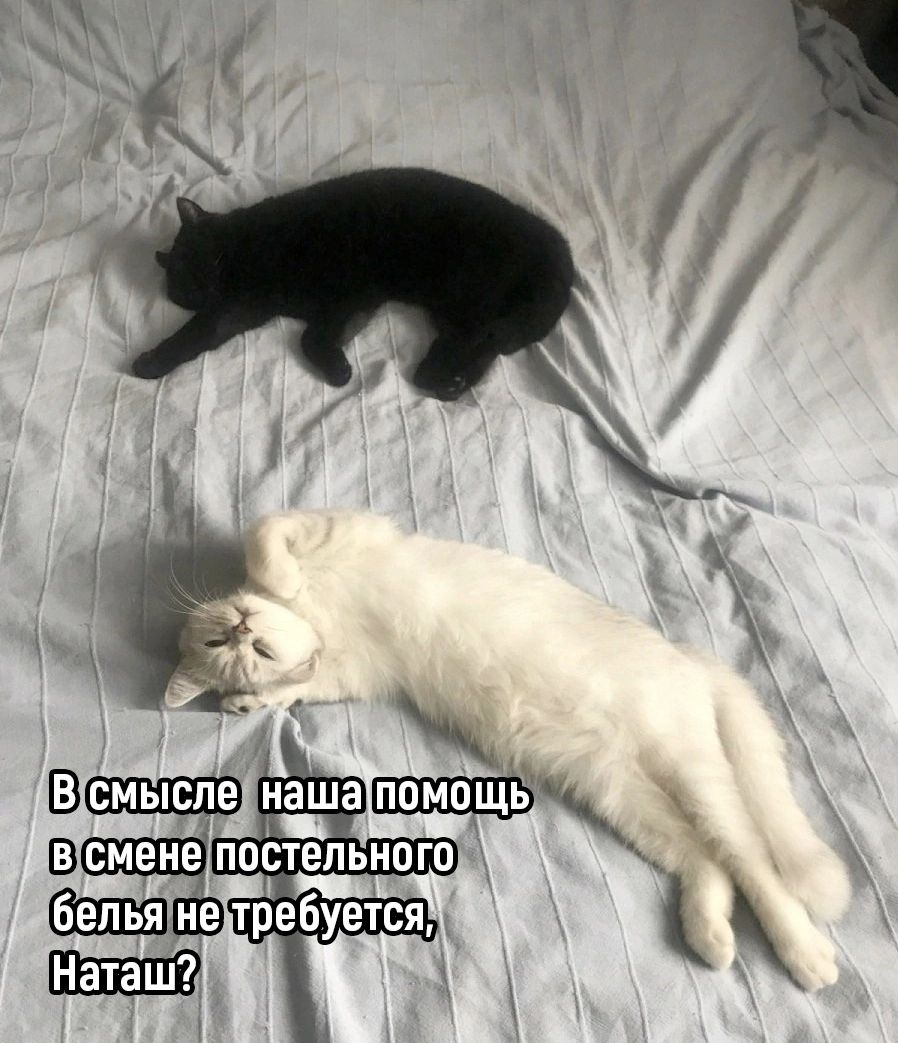 я ШШЩЭ наша ШШЪ ППСТЕПЬНОГО требуется Наташ