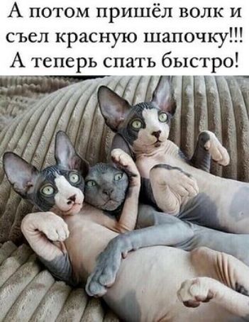 А потом пришёл волк и съел красную шапочку А теперь спать быстро
