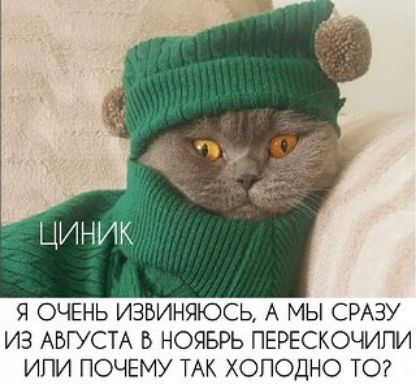 Я ОЧЕНЬ ИЗБИНЯЮСЬА А МЫ СРАЗУ ИЗ АВГУСТА Б НОЯБРЬ ПЕРЕСКОЧИПИ ИПИ ПОЧЕМУ ТАК ХОПОДНО ТО
