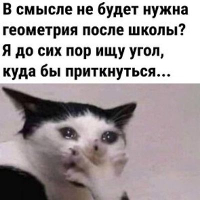 В смысле не будет нужна геометрия после школы Я до сих пор ищу угол куда бы приткнуться