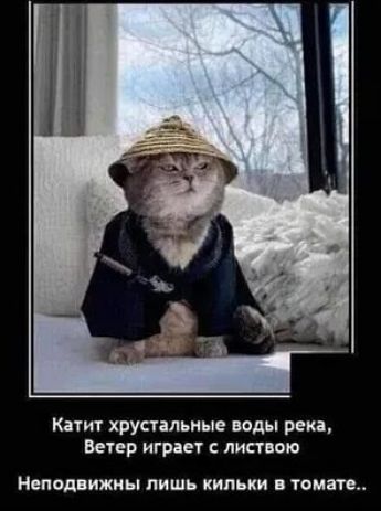 Катит хрустальные воды река Ветер играет листвою Неподвижиы ЛИШЬ КИПЬКИ томате