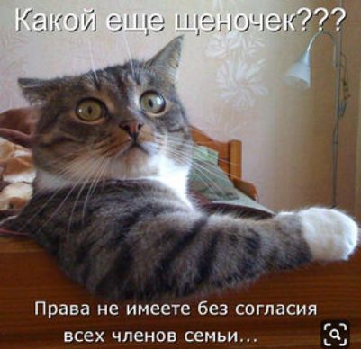 Права не имеете без согласия всех членов семьи 3