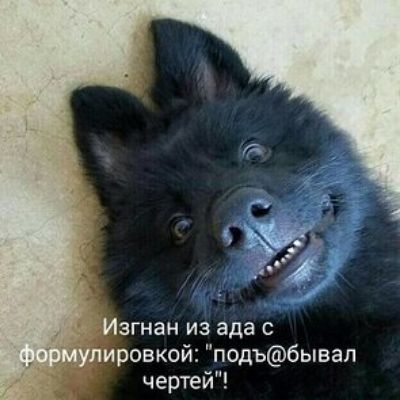 ЗГНЗН ИЗ ада С ровко подъбывал чертей