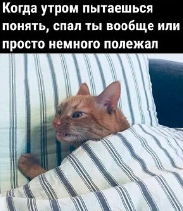 Когда утром пытаешься ПОНЯТЬ спал ТЫ вообще ИЛИ ПРОСТО немного полежал