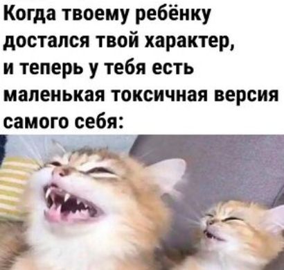 Когда твоему ребёнку достался твой характер и теперь у тебя есть маленькая токсичиая версия самого себя
