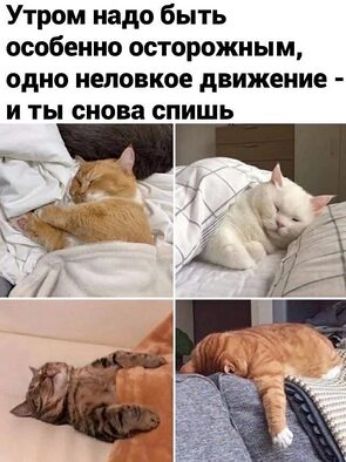 Утром надо быть особенно осторожным одно неловкое движение И ТЫ снова СПИШЬ