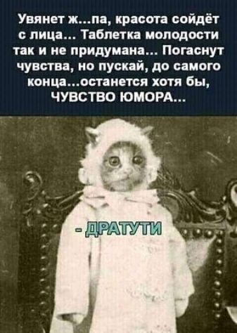 Увяиет жпа красита сойдёт с лица Таблетка молодости так и не придумана Погасиут чувства но пускай до самого концаостанется хотя бы ЧУВСТВО ЮМОРА