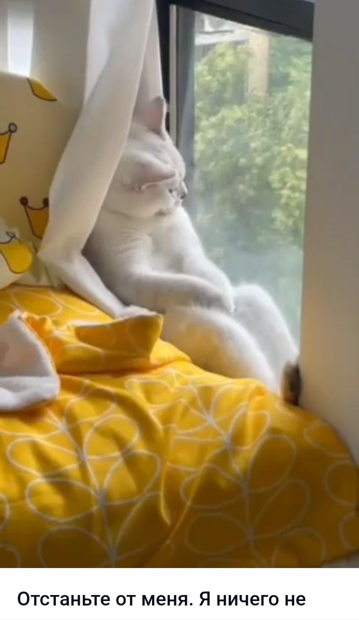 ТВНЬТе ОТ меня Я НИЧЕГО не