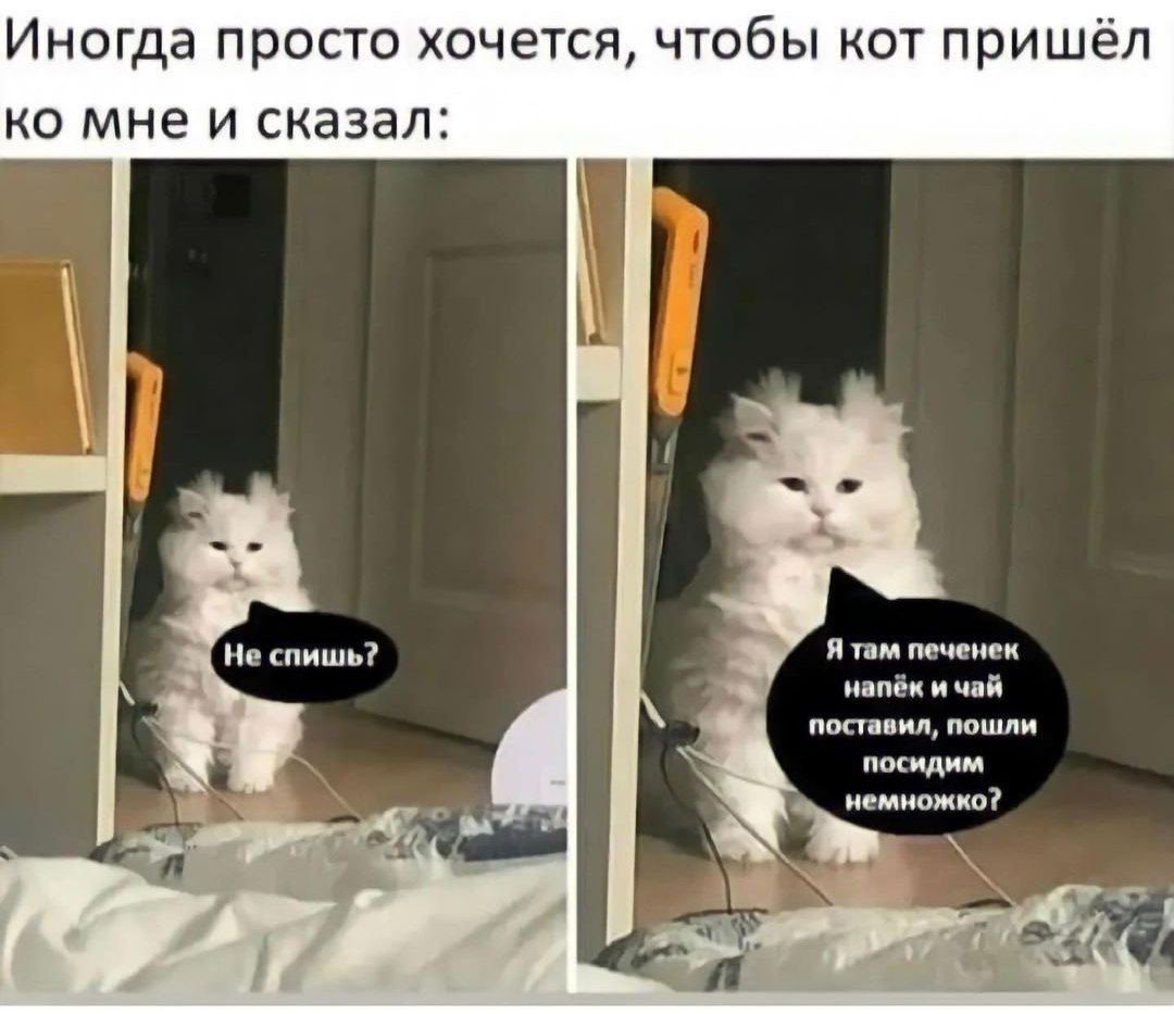Иногда просто хочется чтобы кот пришёл о мне и сказал я в мм __щ