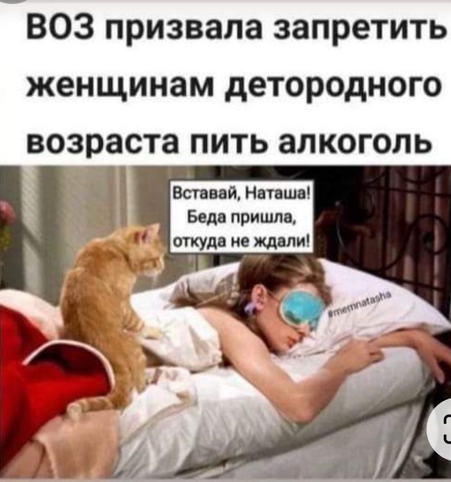 ВОЗ призвала запретить женщинам детородного возраста пить алкоголь Вещий ншшч Бадд пришли откуп не ждали