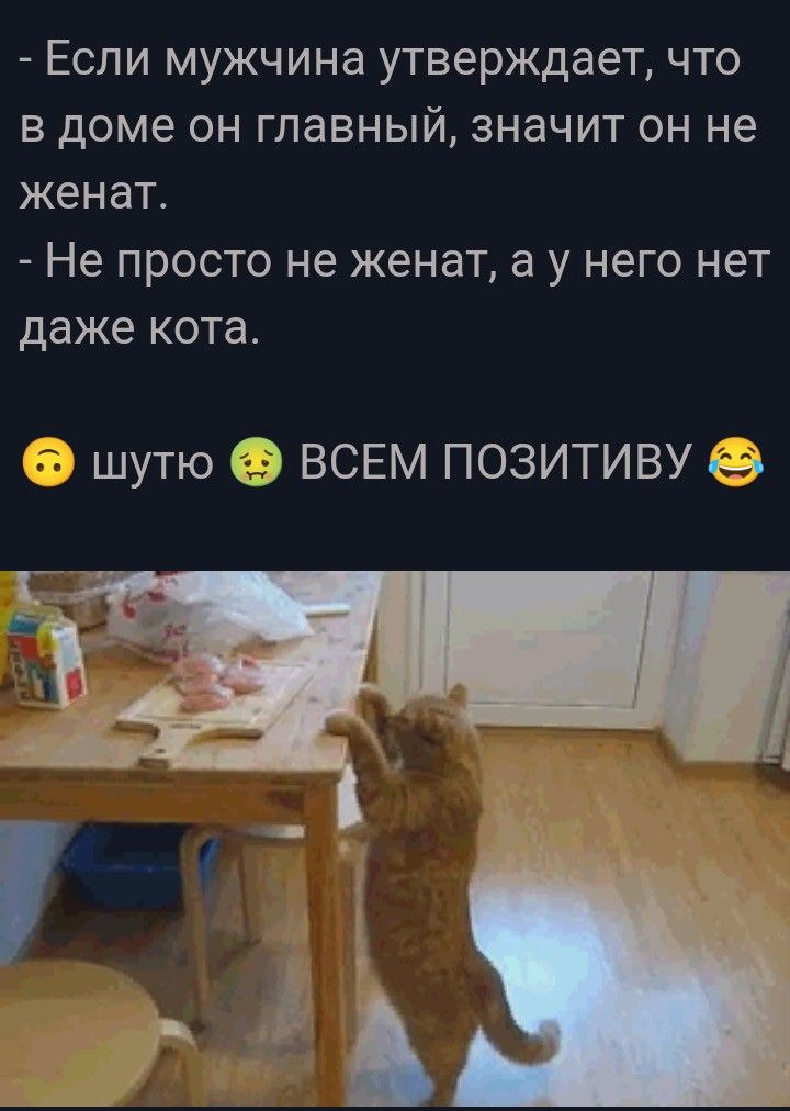 Если мужчина утверждает что в доме он главный значит он не женат Не просто не женат а у него нет даже кота шуТЮ ВСЕМ ПОЗИТИВУ