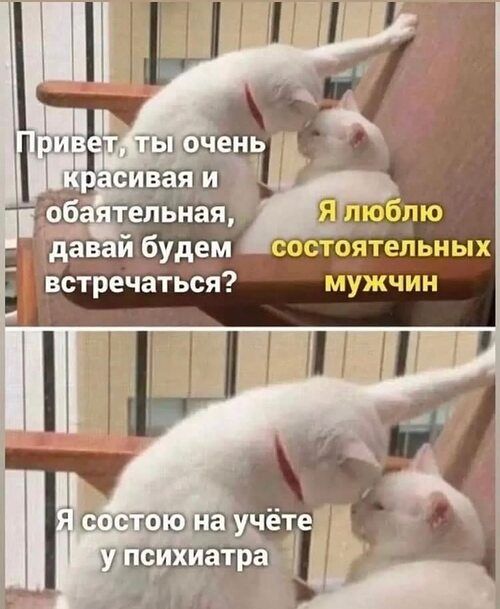сост9ятельиых мужчин