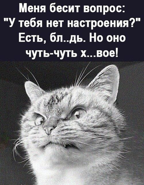 Меня бесит вопрос У тебя нет настроения Есть блдь Но оно чуть чуть хвое