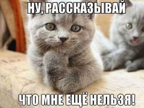 _ ЩЕШМНЁЕЩЁ НЕЛЬЗЯ