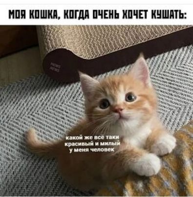 АТЬ у