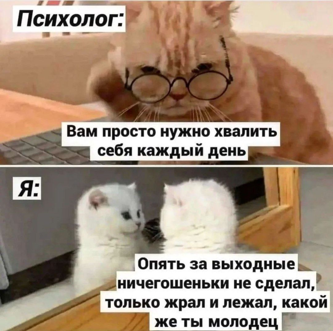Опять за выхидиые ничегошеньки не сделал только щит и пежап какой же ты молодец