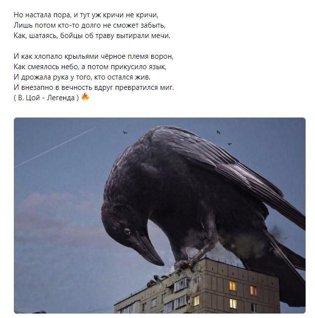 и капала пара им т е п д и а на и и и тв чёрнпе на м ш ем и при ным Идгпхапзпукцт дппппапиэп ь и н цы ре ы хе Лидд ь
