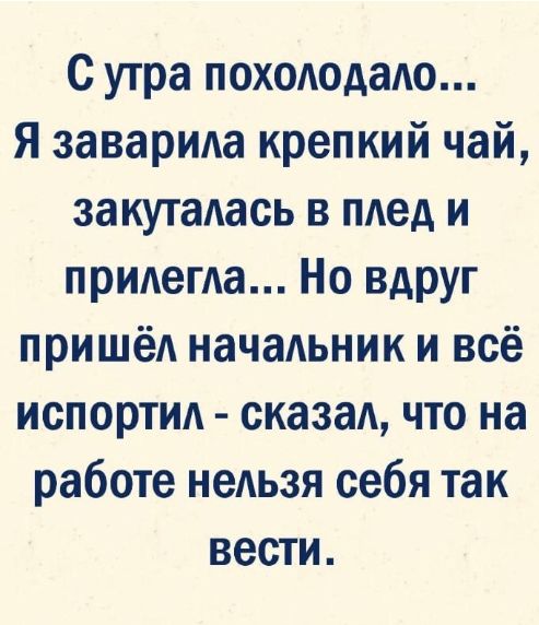 С утра похододадо Я заварида крепкий чай закугадась в плед и придегда Но вдруг пришёА начаьник и всё испортил сказад что на работе нельзя себя так вести