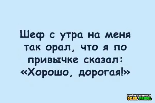 Шеф с утра на меня так орал что я по привычке сказал Хорошо дорогая