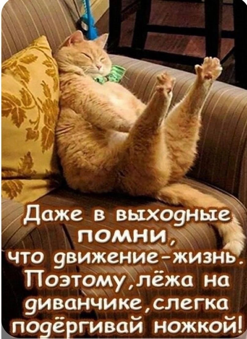 гДаже в выхоуные помни что 9вижение жизнь Поэтому лёжа на 9ив_анчике слегка пенёвгивай ножкой