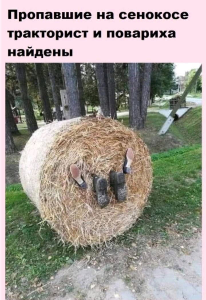 Пропавшие на сенокосе тракторист и повариха найдены