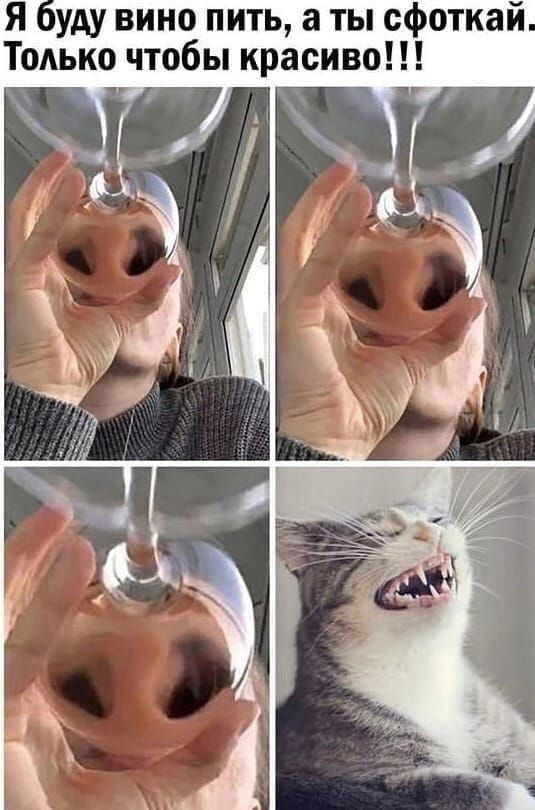 Я буду вино пить, а ты сфоткай. Только чтобы красиво!!!!