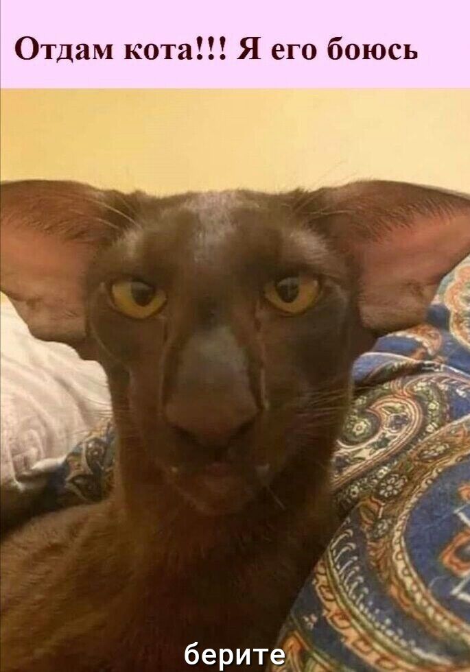 ь с ю 0 б о г е Я 12 Т 0 К а М Отд