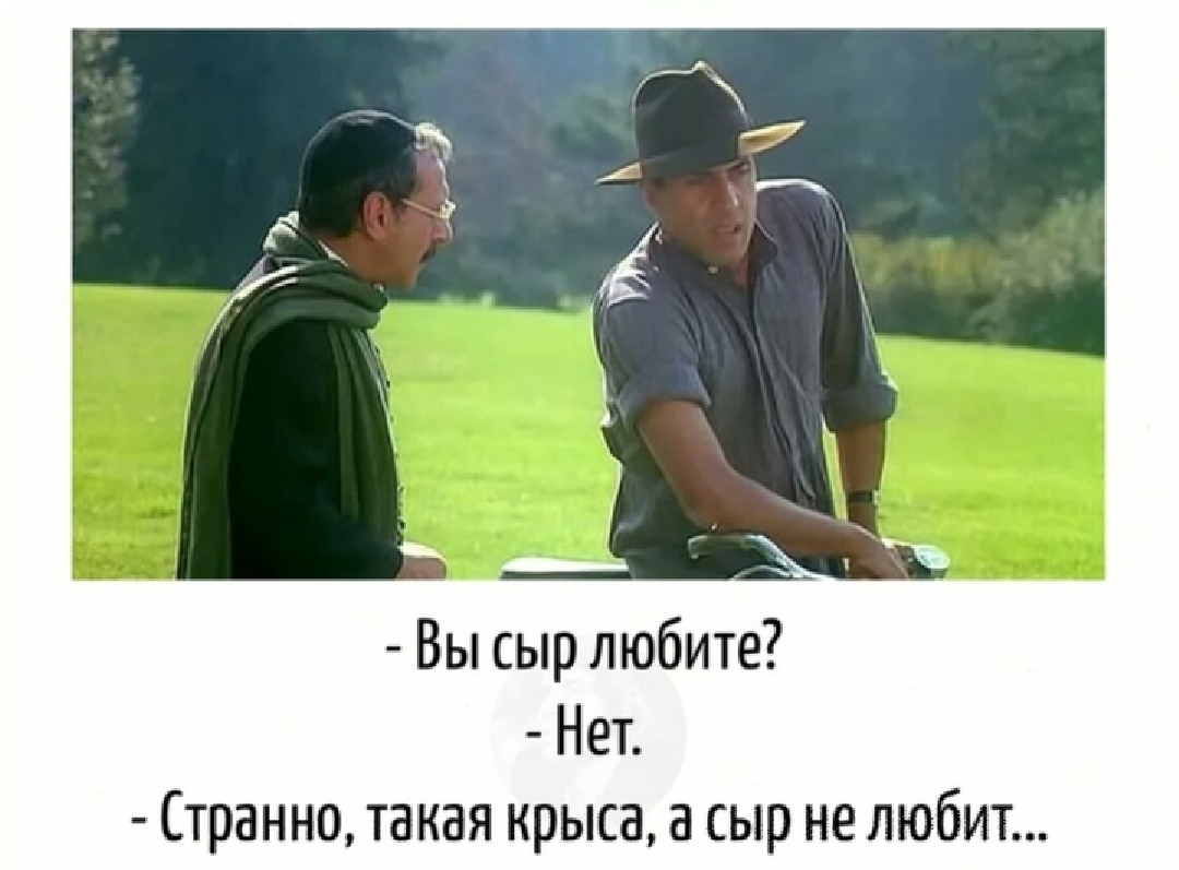 Вы сыр любите Нет Странно такая нрька а сыр не любит