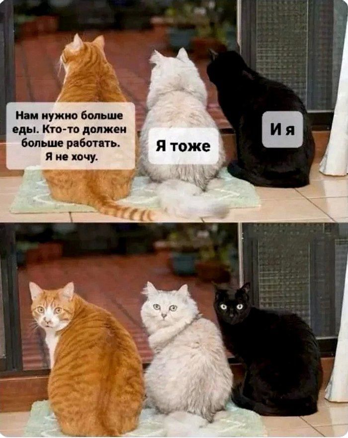 иш иужт волше Кто Тв диджеи вы вы ть я и хочу