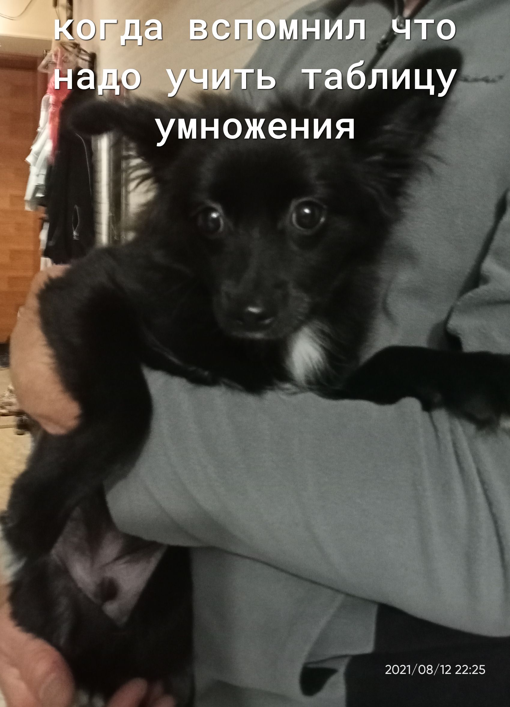 ЧНИЛ ТО ЧИТЫ Ё умНОЖения Ь і д Р 20210812 2225