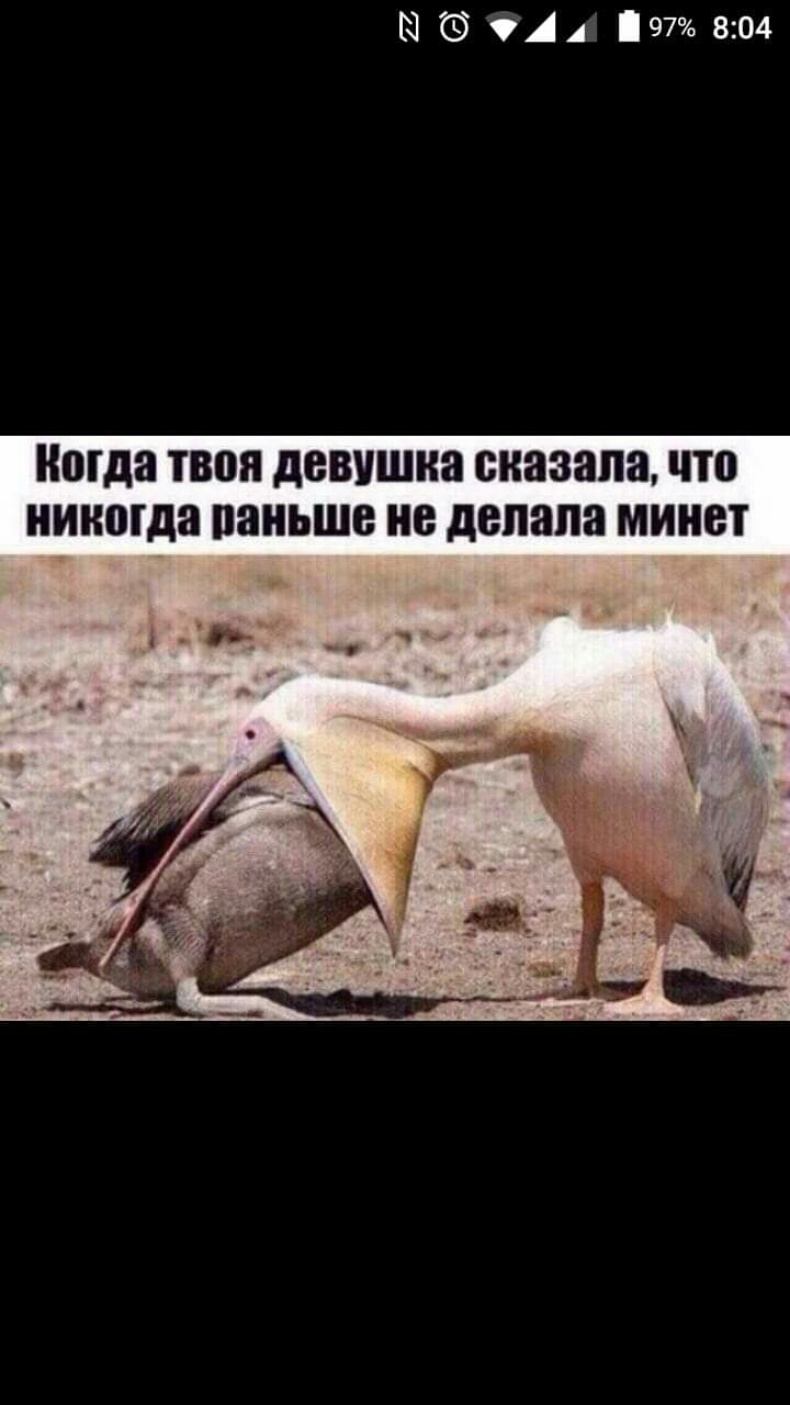 514 804 Ногда ПЮЯ ЛВВПШНЯ сказала что никогда ПВНЬШВ не делала МИНВТ