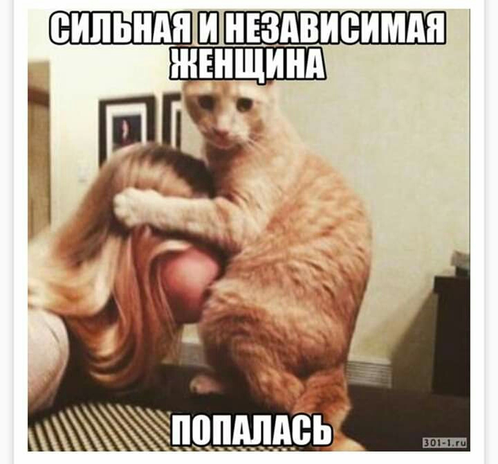 П попдпдь