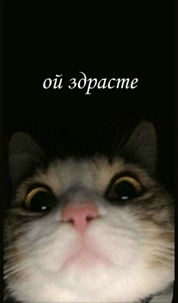 ой здрасте