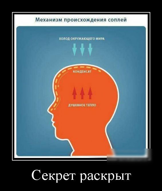 Механизм происхождения соплеи холм оигтдтпно мии Секрет раскрыт