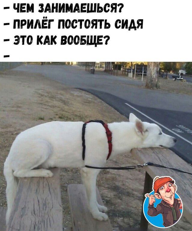 ЧЕМ ЗАНИМАЕШЬОЯ ПРИАЁГ ПООТОЯТЬ ОИАЯ ЭТО КАК ВООБЩЕ