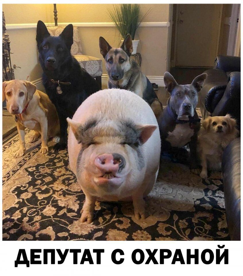 двпутт с охрдной