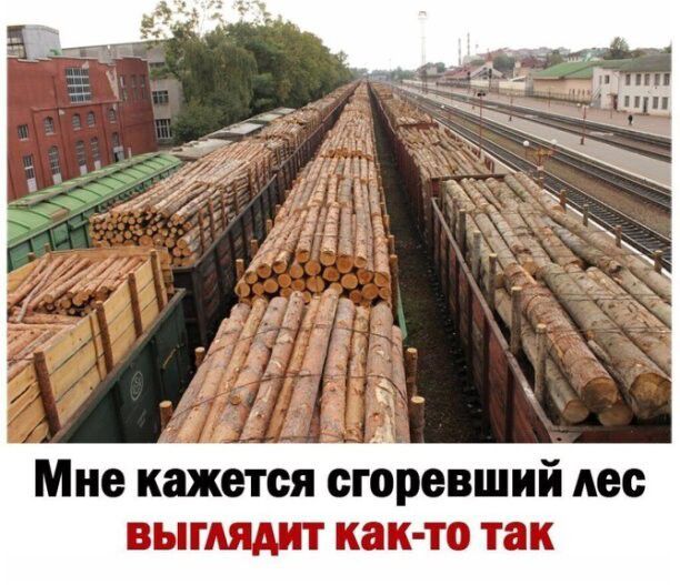 Мне кажется сгоревший пес выглядит как то так