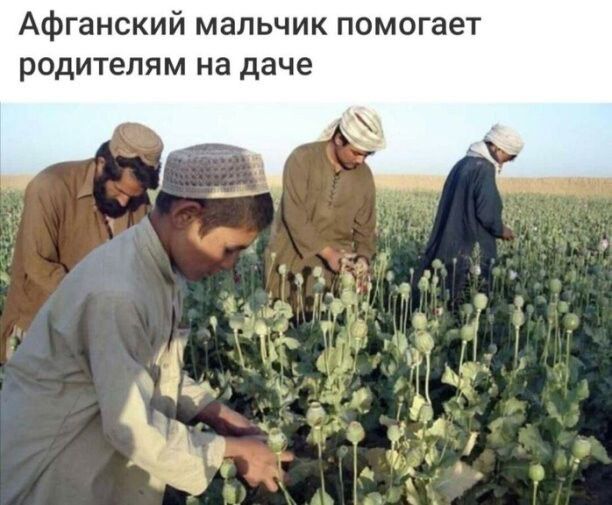 Афганский мальчик помогает родителям на даче