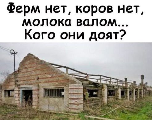 Ферм нет коров нет молока валом Кого они доят