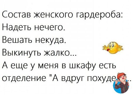 Состав женского гардероба Надеть нечего Вешать некуда Выкинуть жалко А еще у меня в шкафу есть отделение А вдруг ПО