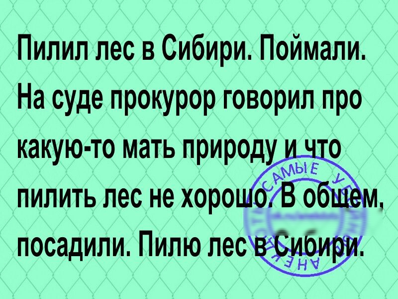 Пилип лес в Сибири Поймали На суде прокурор говорил про какую то мать природу о ЪАЫЕ пилить лес не хорошо 9 посадили Пипю пост