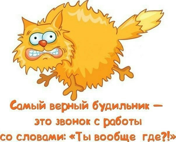 амыёя верный будильник эт звшжа аботы сэ бывшим Ты ваабще 9529
