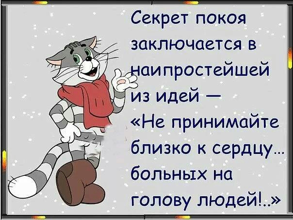 Секрет покоя заключается в Не принимайте близко к сердцу больных на голову людей