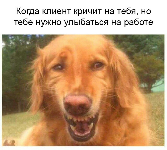 Когда клиент кричит на тебя но тебе нужно улыбаться на работе