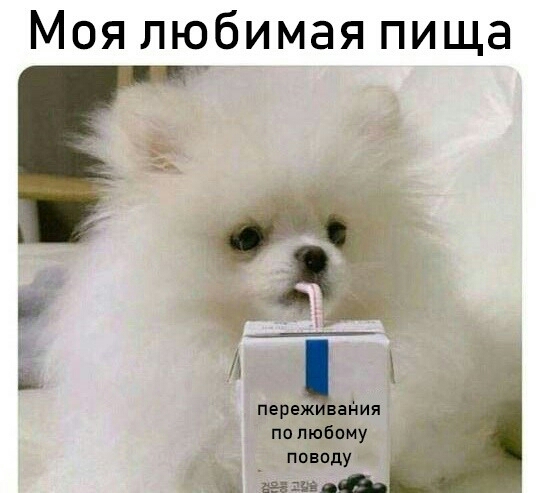 Моя любимая пища А в 3 переж айия по любому поводу _ Звание _