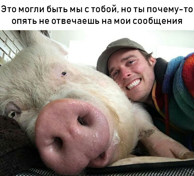 Это могли быть мыс тобой но ты почему то опять не отвечаешь на мои сообщения