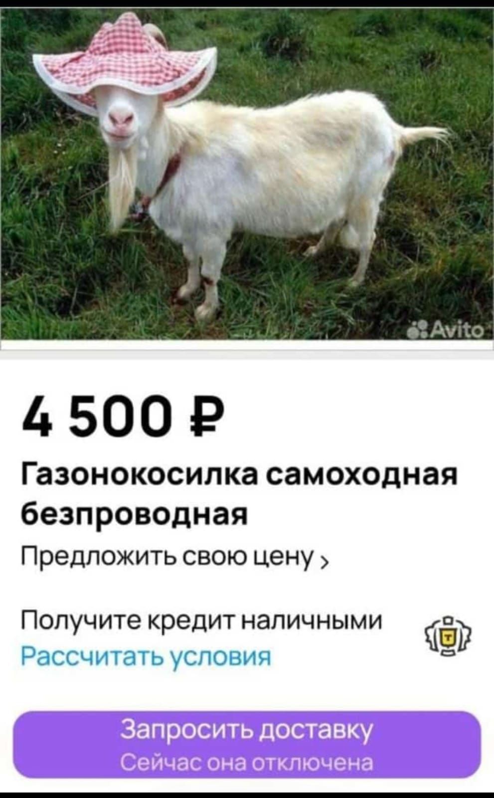 4 500 ₽ Газонокосилка самоходная беспроводная Предложить свою цену > Получите кредит наличными Рассчитать условия Запросить доставку Сейчас она отключена