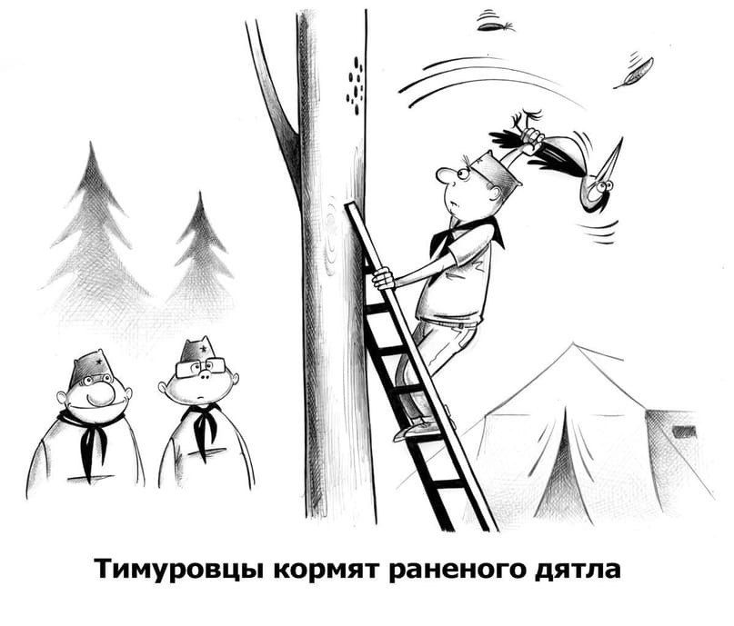 Тимуровцы кормят раненого дятла