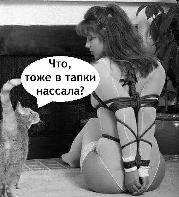 тоже в тапки
нассала?

