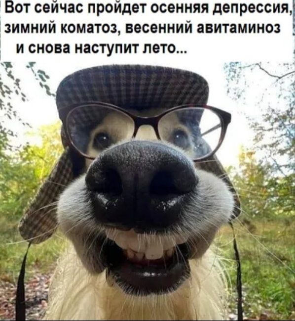 Вот сейчас пройдет осенняя депрессия, зимний коматоз, весенний авитаминоз и снова наступит лето...